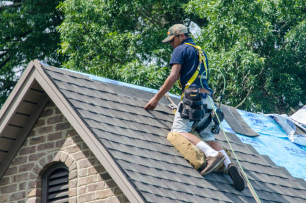 Best Roof Maintenance Services  in , WY